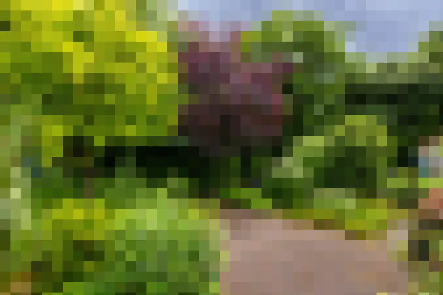 de Jongstraat 14 Doetinchem thumbnail 25
