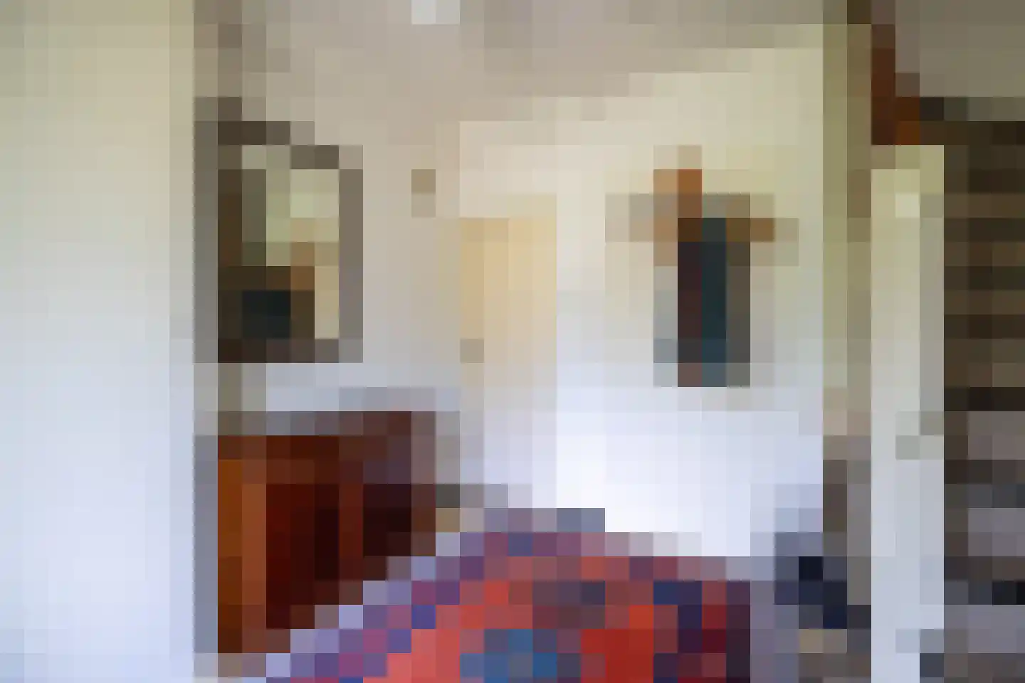 de Jongstraat 14 Doetinchem thumbnail 32