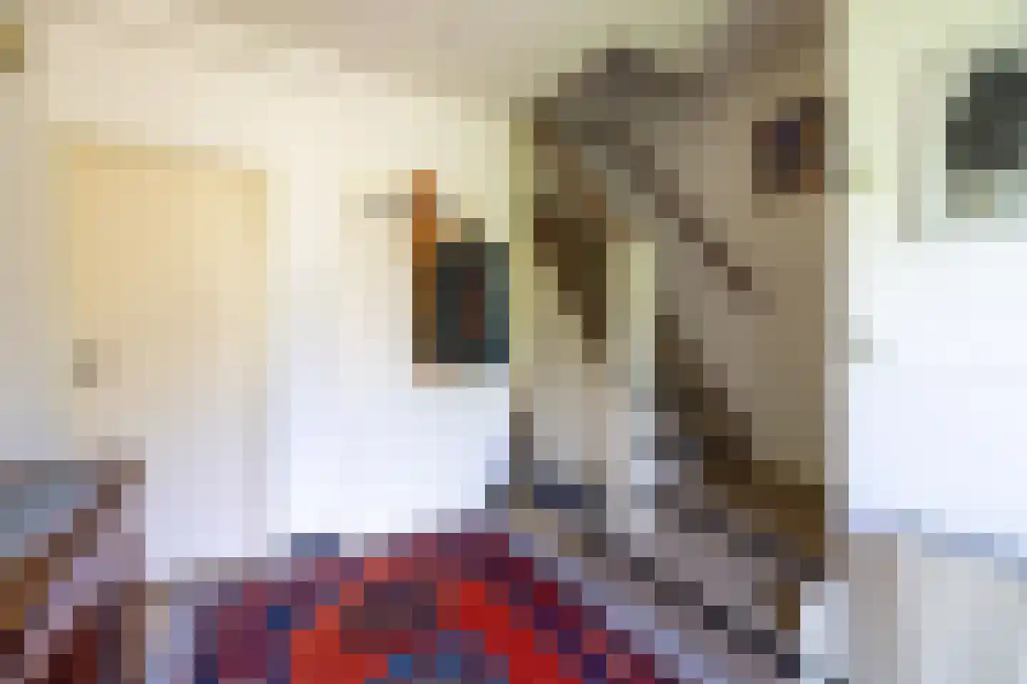 de Jongstraat 14 Doetinchem thumbnail 33