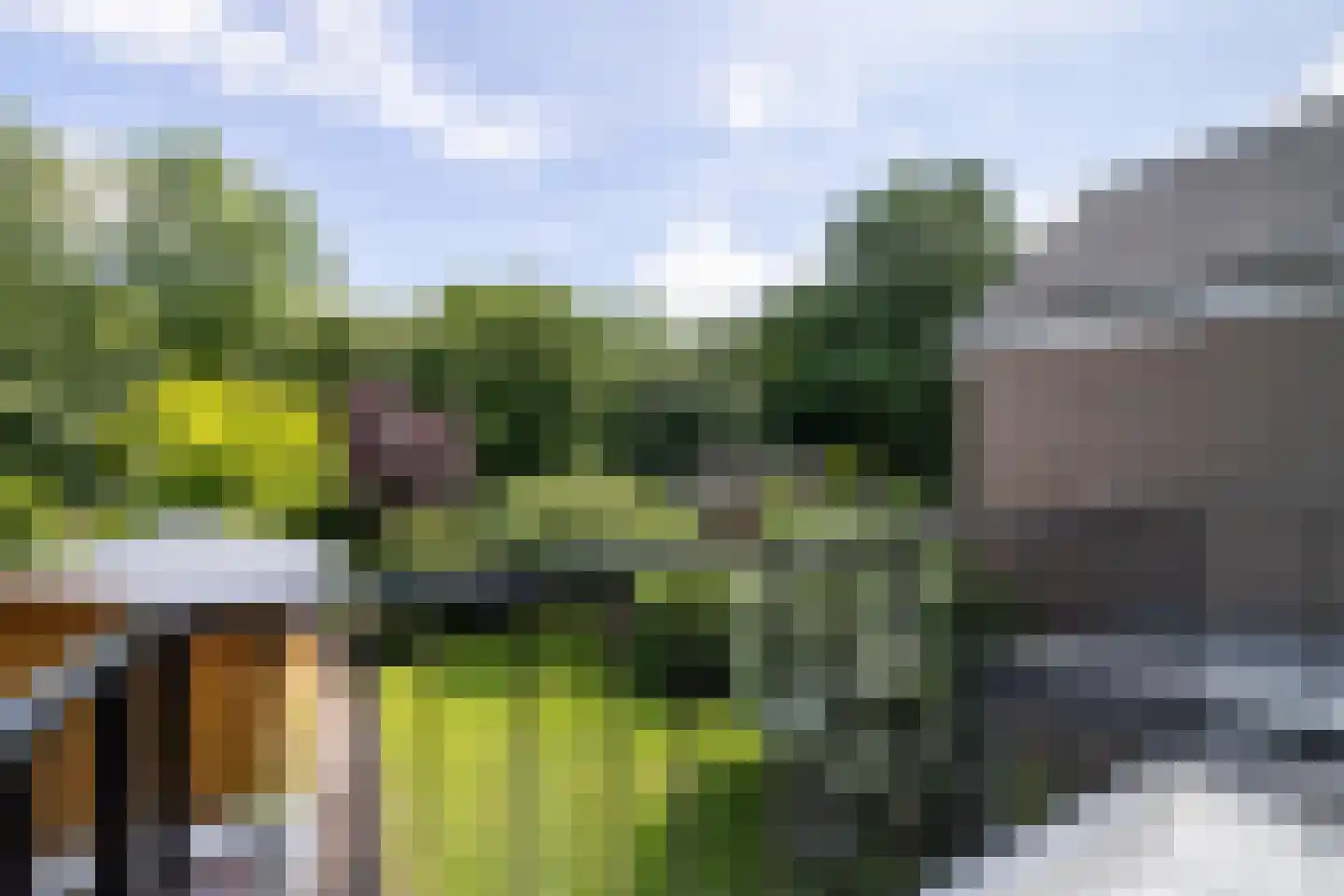 de Jongstraat 14 Doetinchem thumbnail 41