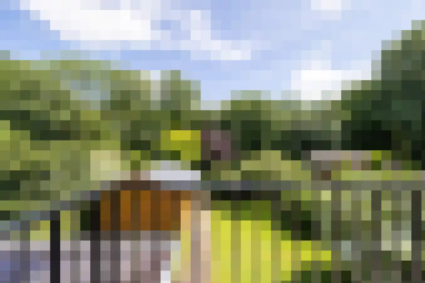de Jongstraat 14 Doetinchem thumbnail 42