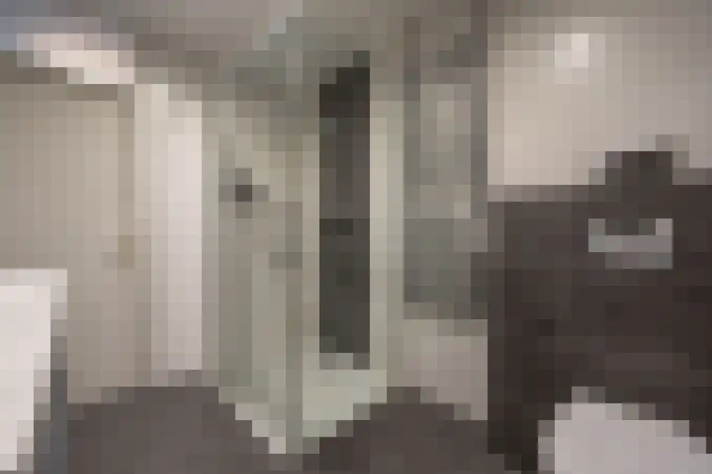 De Jongstraat 15 Linschoten thumbnail 20
