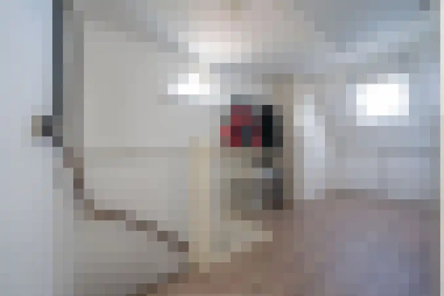 De Jongstraat 15 Linschoten thumbnail 29