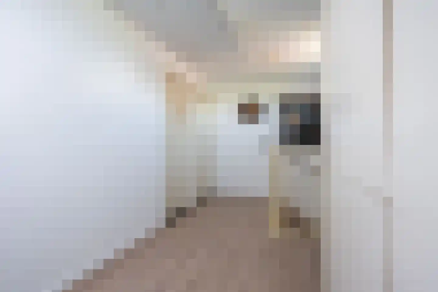 De Jongstraat 15 Linschoten thumbnail 30