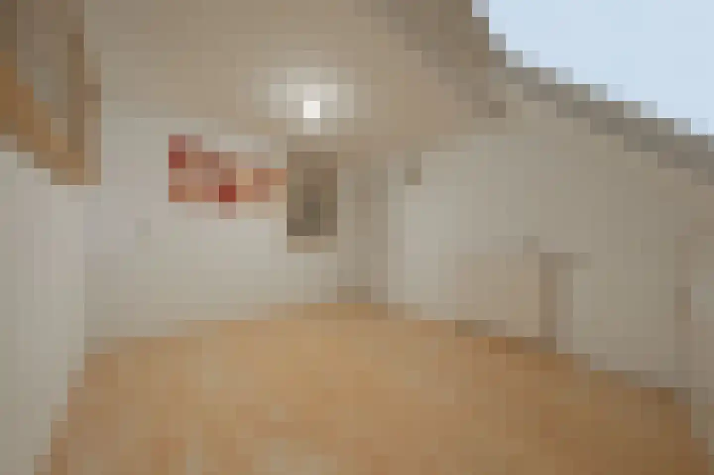 De Jongstraat 15 Linschoten thumbnail 34
