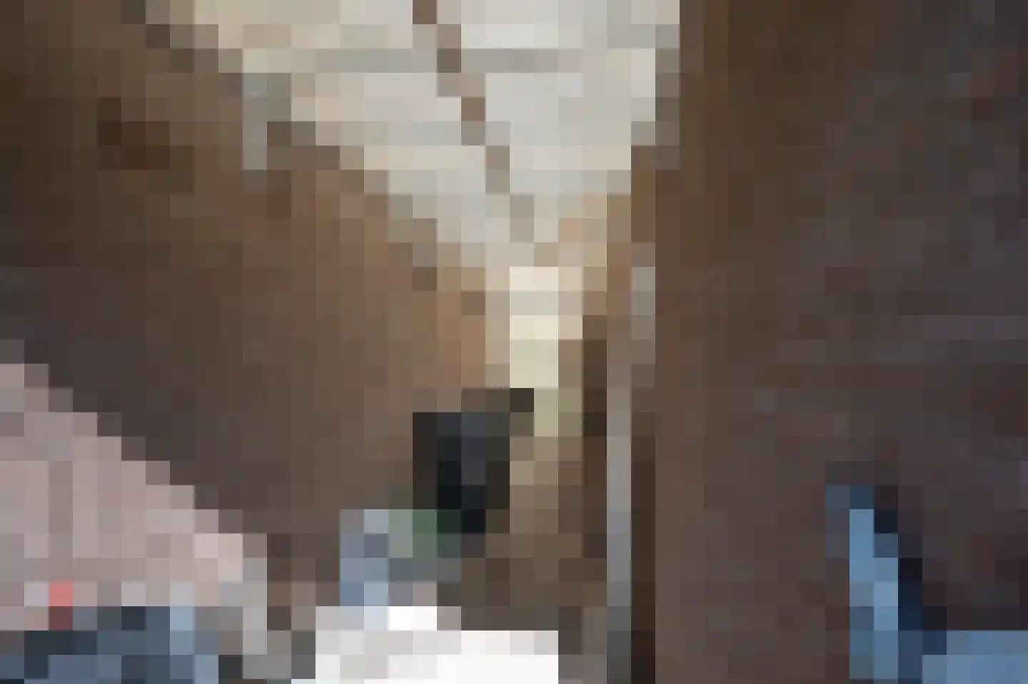 De Jongstraat 15 Linschoten thumbnail 42