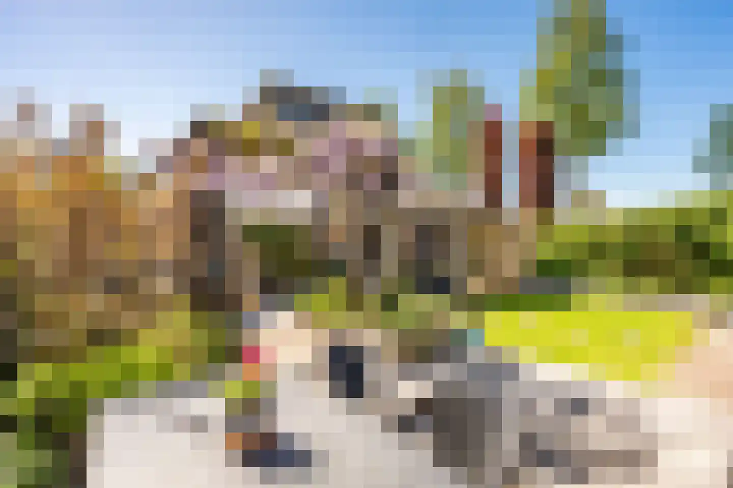 De Jongstraat 15 Linschoten thumbnail 48