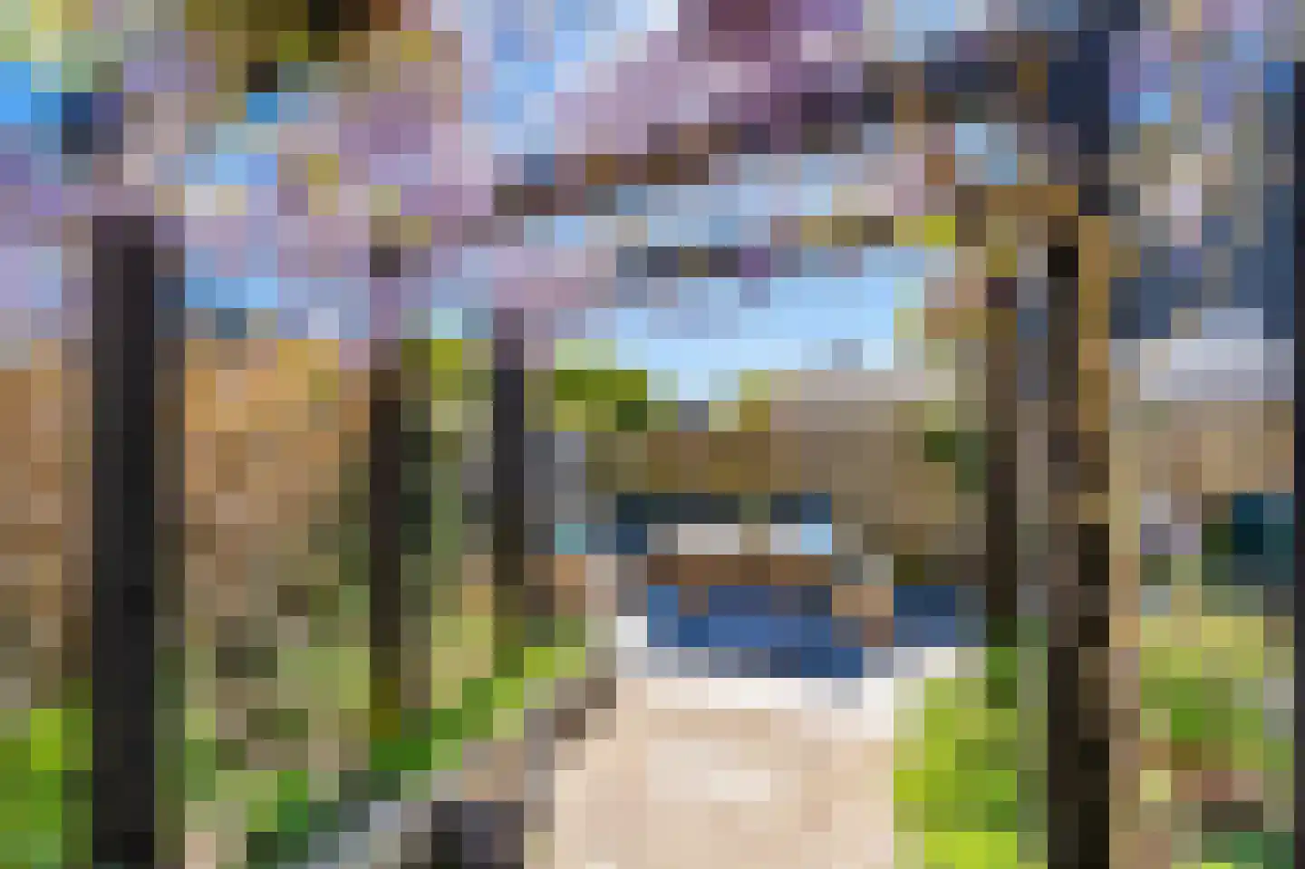 De Jongstraat 15 Linschoten thumbnail 49