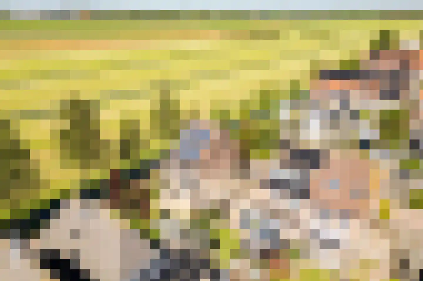 De Jongstraat 15 Linschoten thumbnail 50