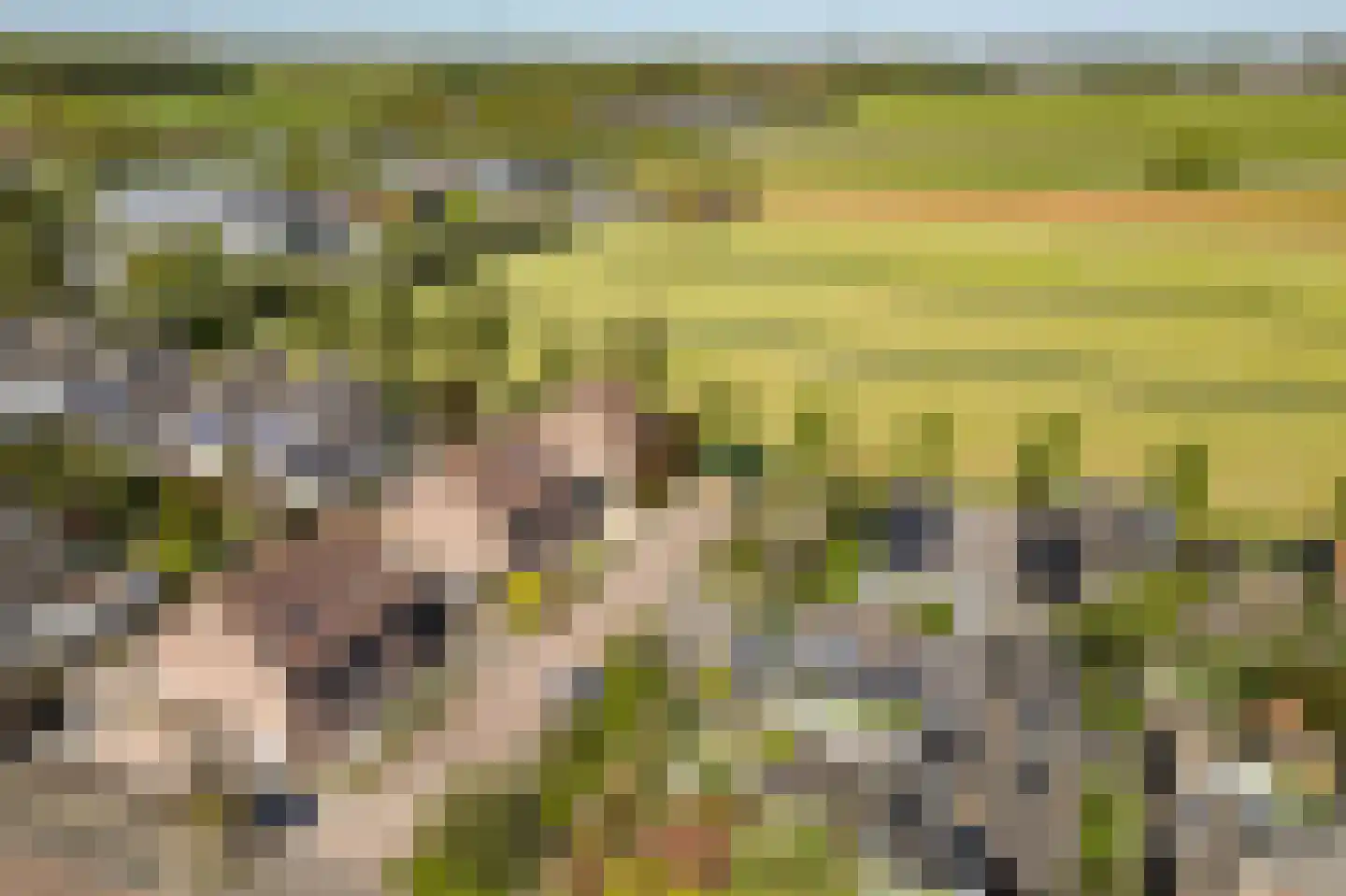 De Jongstraat 15 Linschoten thumbnail 51