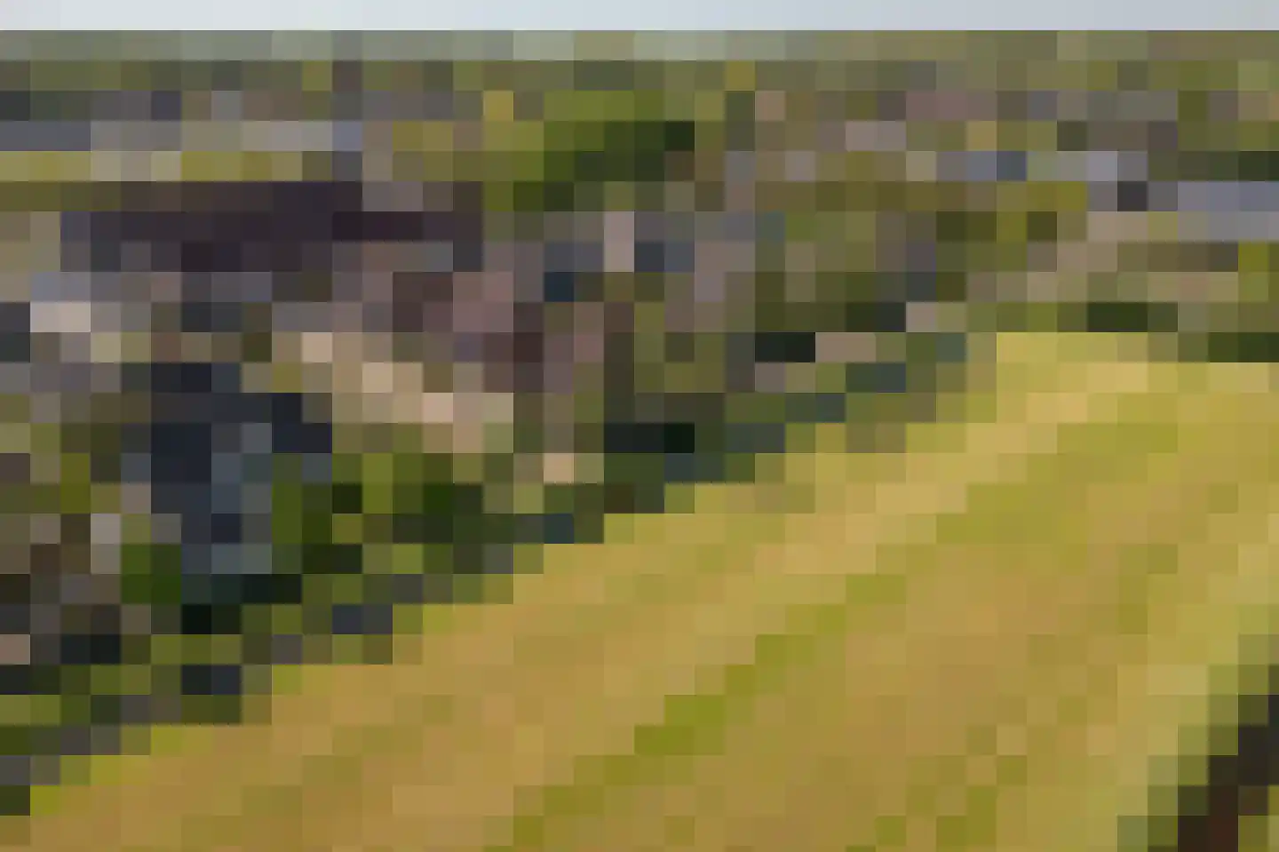 De Jongstraat 15 Linschoten thumbnail 52