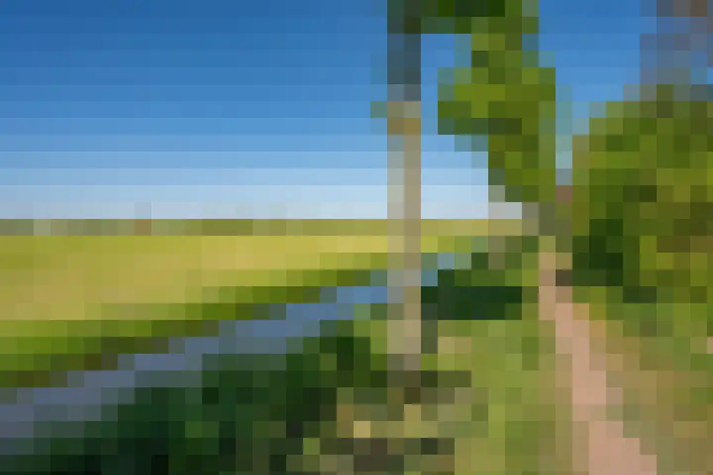 De Jongstraat 15 Linschoten thumbnail 53