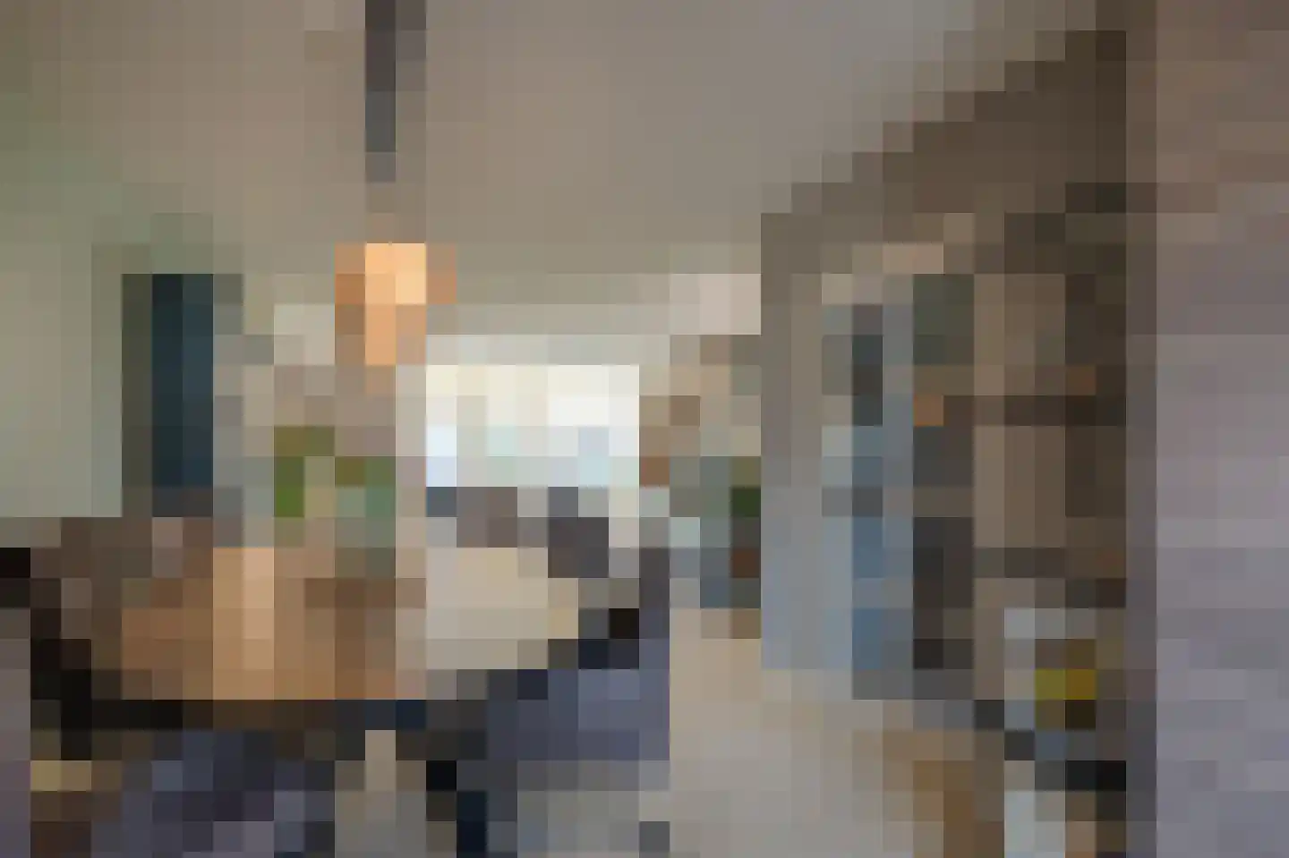 De Jongstraat 15 Linschoten thumbnail 8