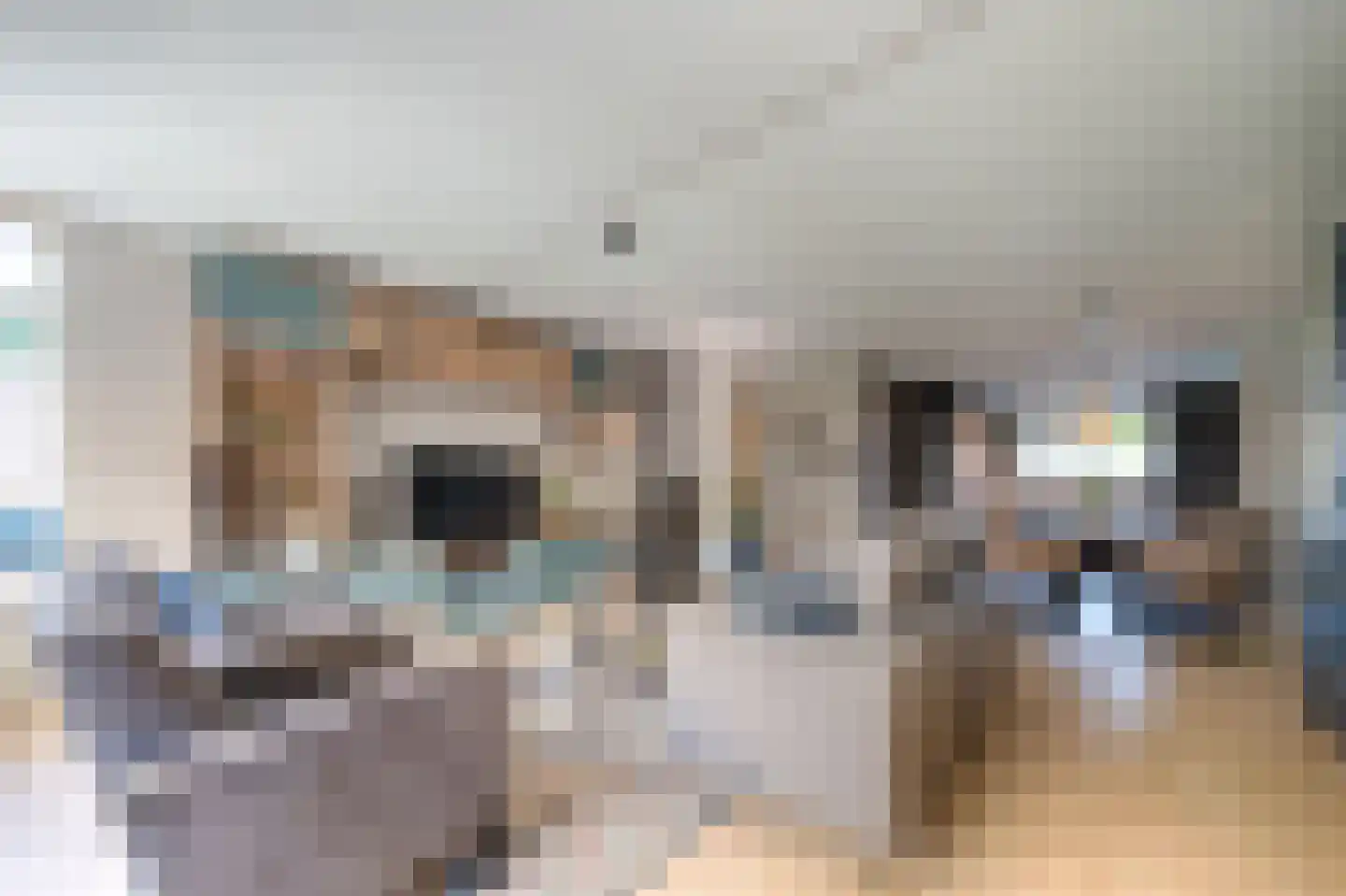 De Jongstraat 15 Linschoten thumbnail 9