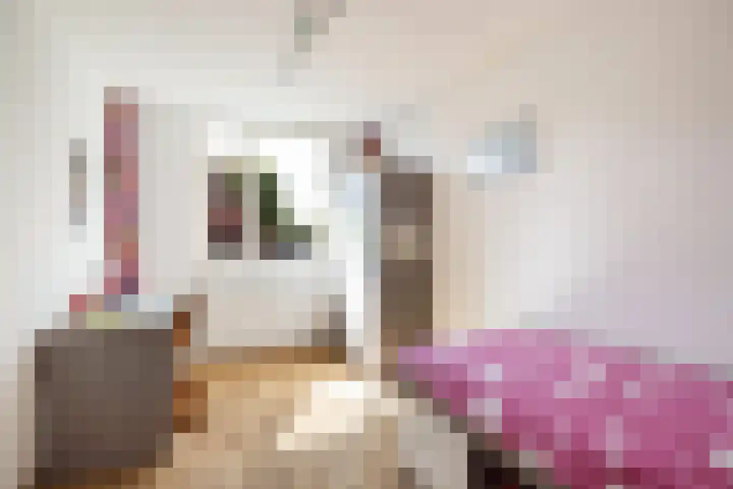 De Jongstraat 2 Linschoten thumbnail 15