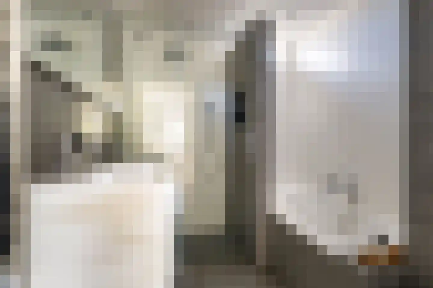 De Jongstraat 2 Linschoten thumbnail 18