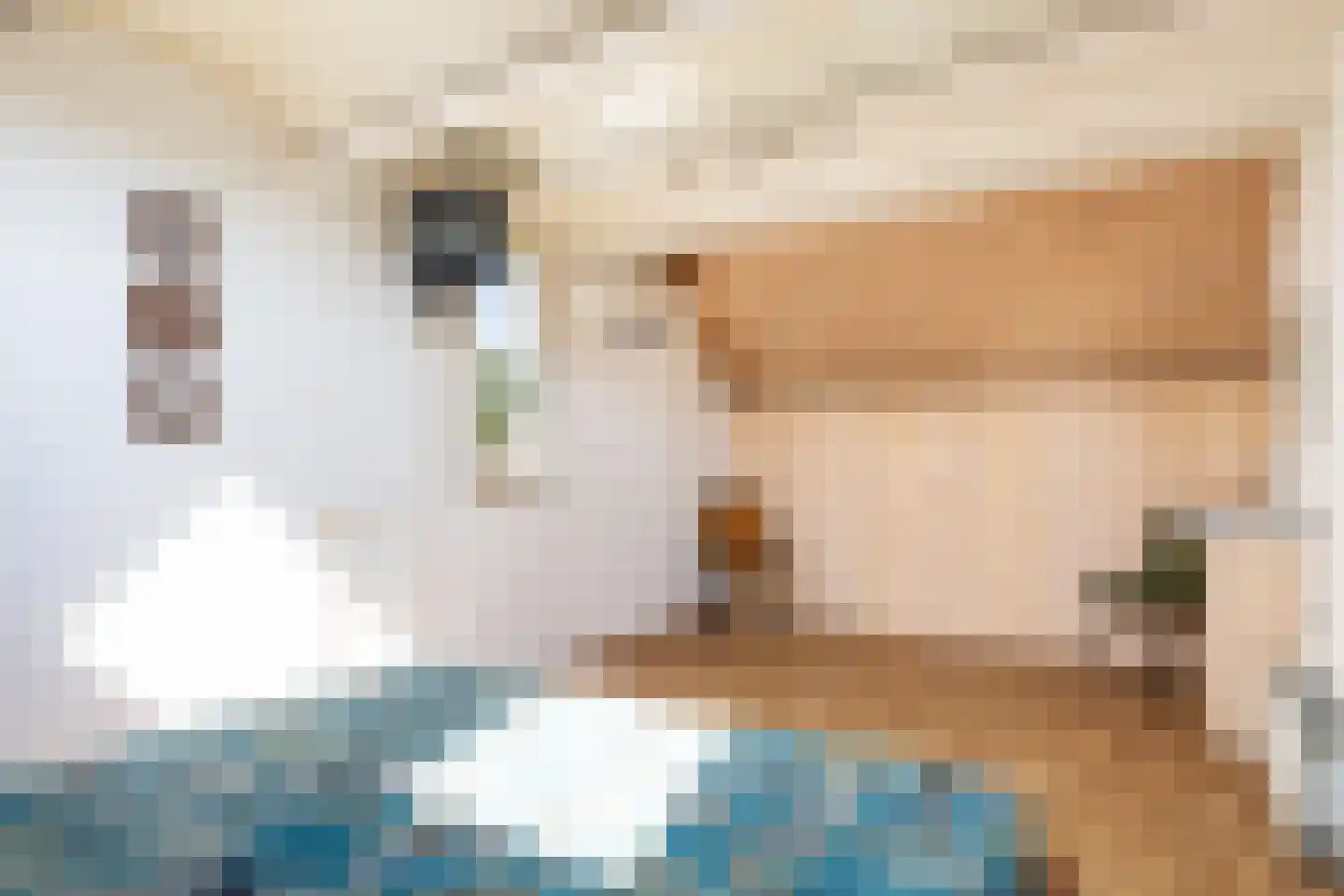 De Jongstraat 2 Linschoten thumbnail 25