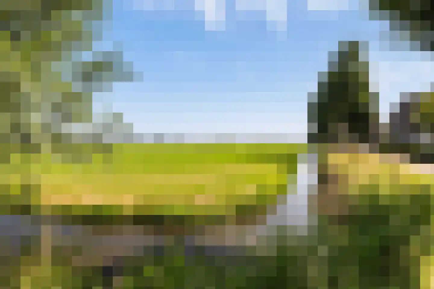 De Jongstraat 2 Linschoten thumbnail 31