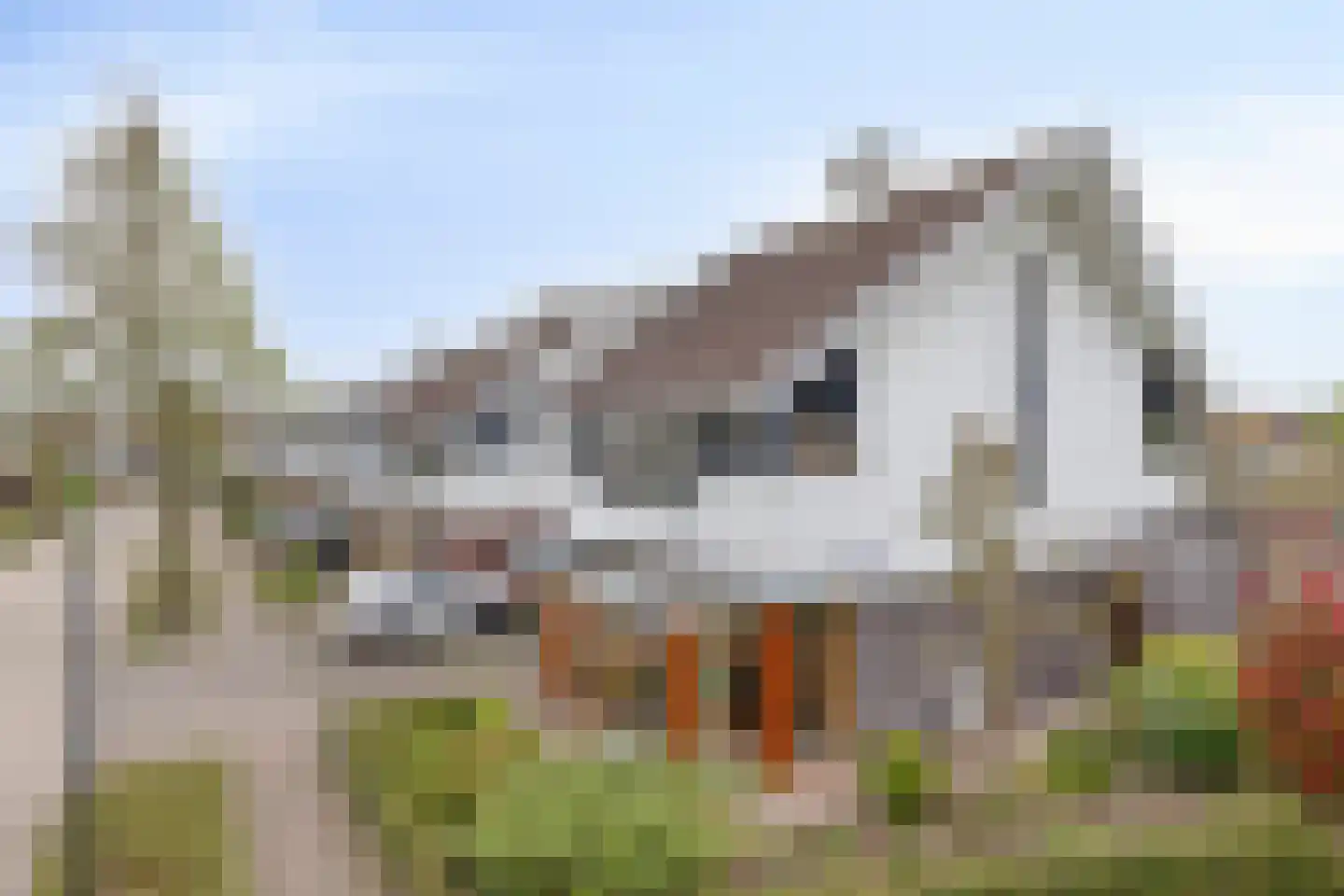 de Jongstraat 2 Vorden