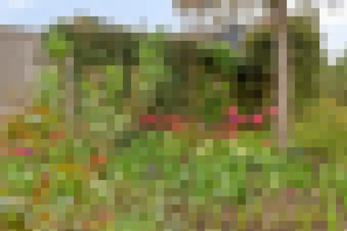 de Jongstraat 2 Vorden thumbnail 23