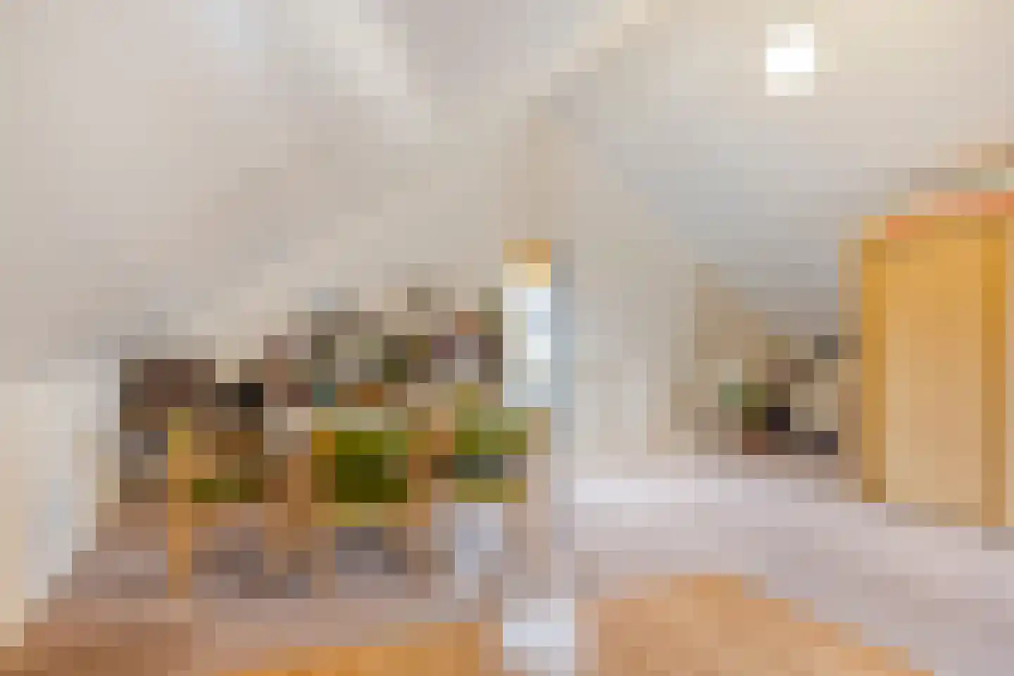 de Jongstraat 2 Vorden thumbnail 37