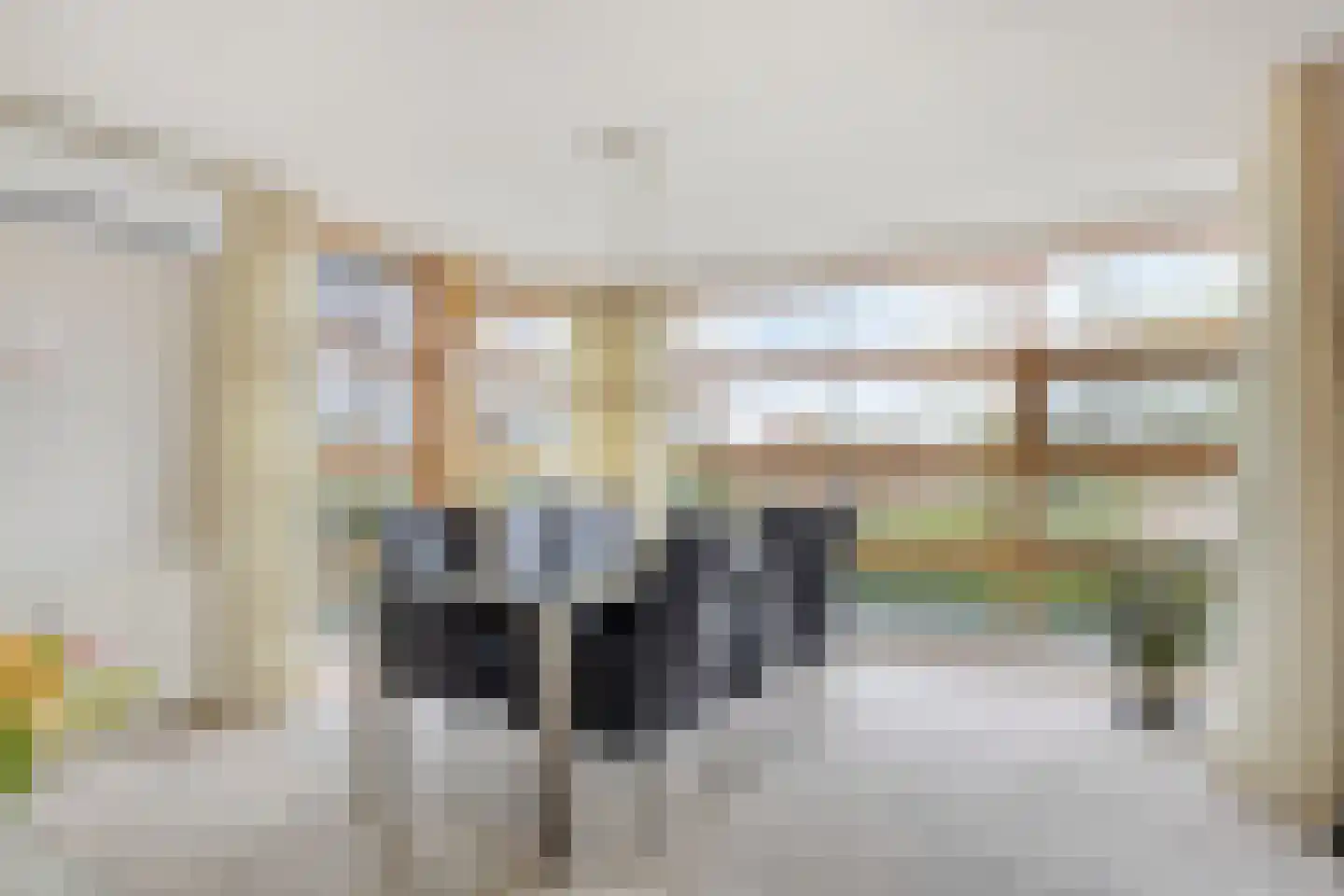 de Jongstraat 2 Vorden thumbnail 5