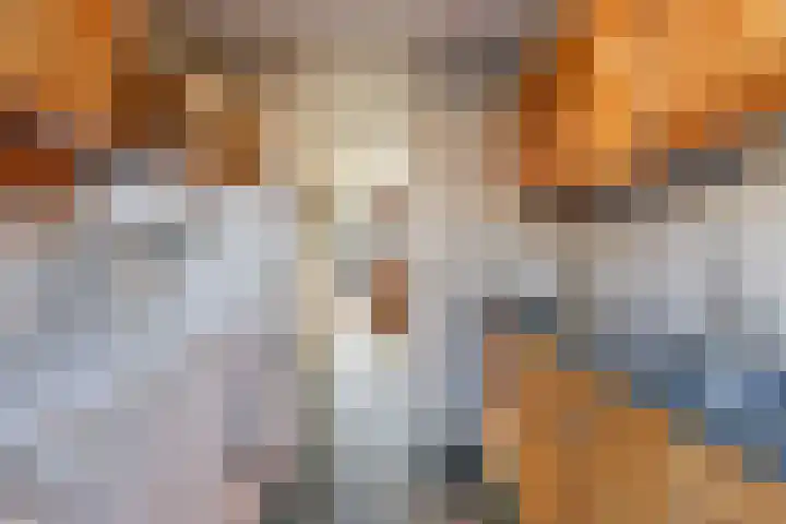 De Jongstraat 22 Reeuwijk thumbnail 19