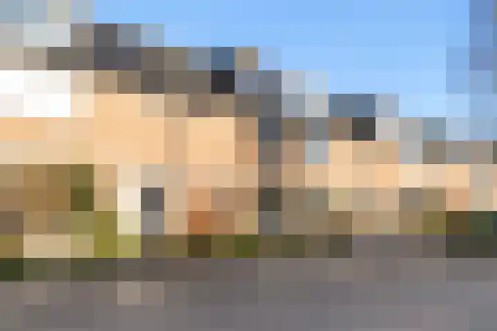 De Jongstraat 22 Reeuwijk thumbnail 5