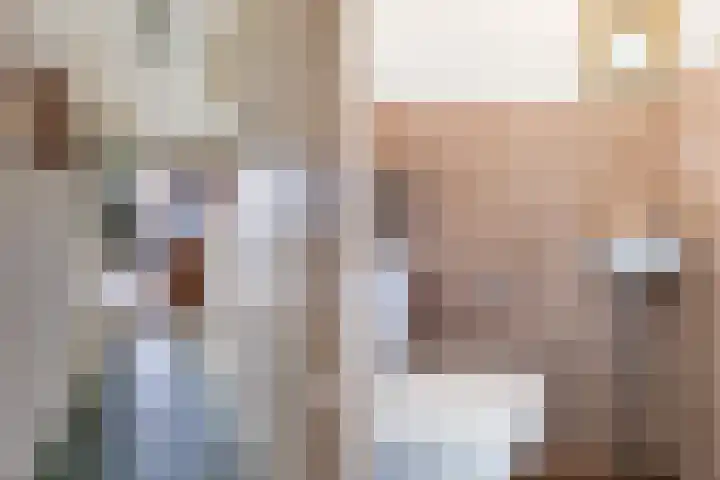 De Jongstraat 22 Reeuwijk thumbnail 9