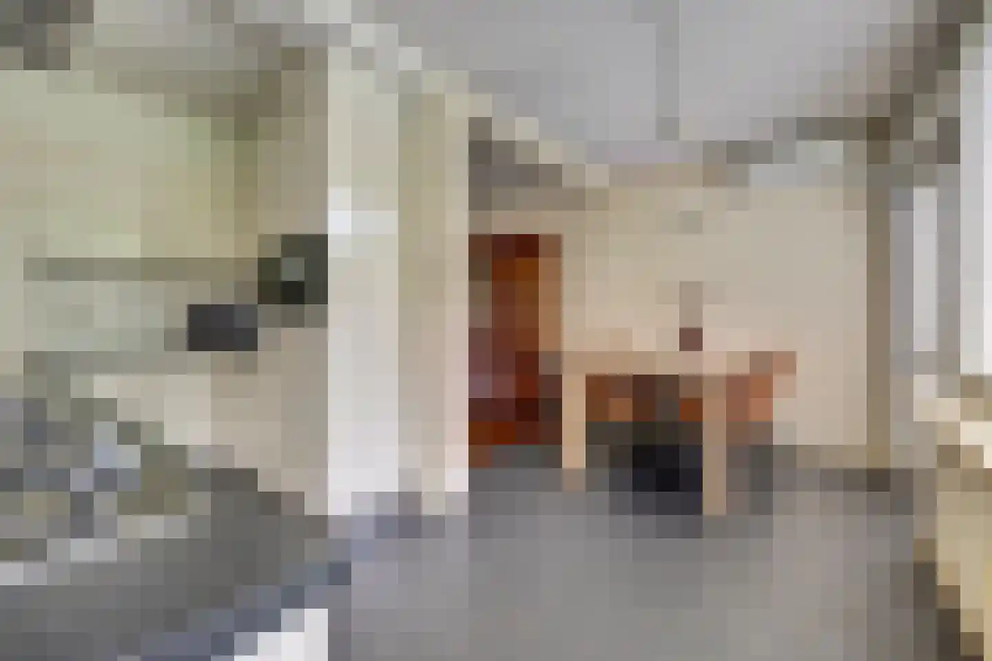 de Jongstraat 24 Doetinchem thumbnail 16