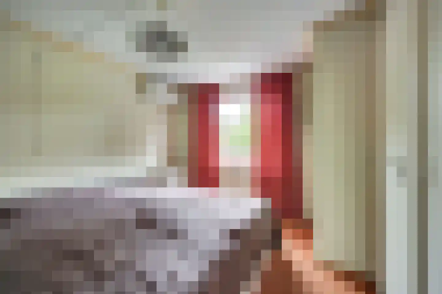 de Jongstraat 24 Doetinchem thumbnail 19