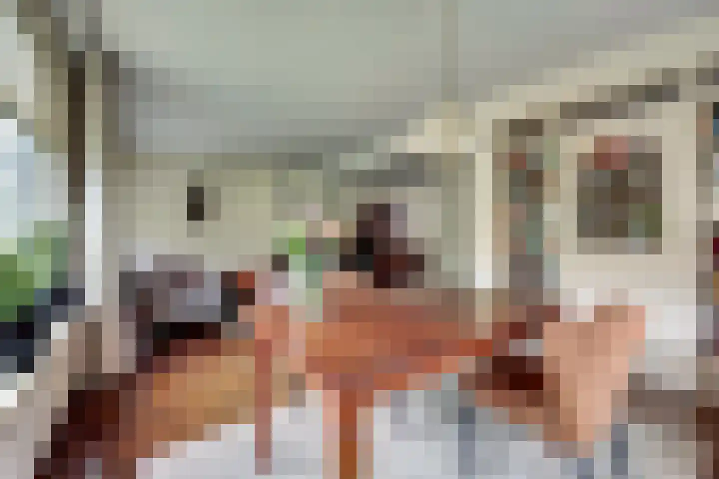 de Jongstraat 24 Doetinchem thumbnail 8