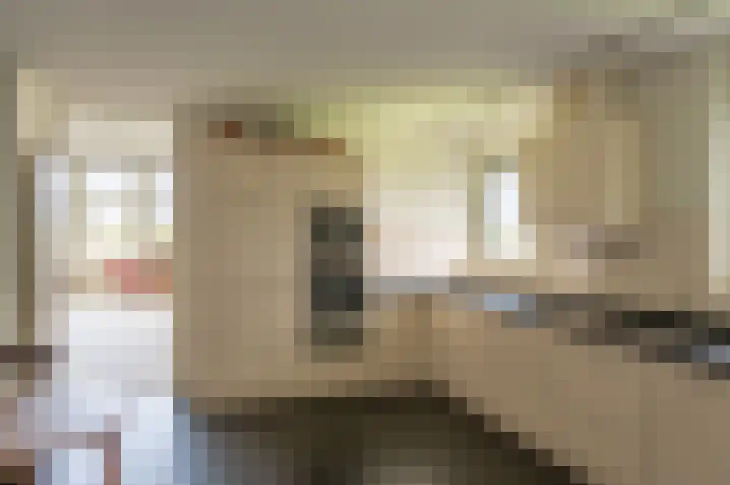 de Jongstraat 31 Vorden thumbnail 14