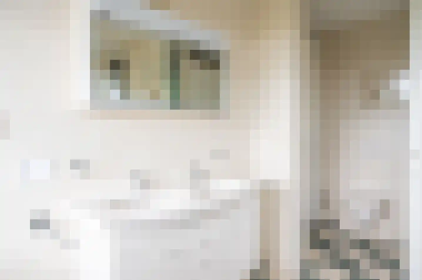 de Jongstraat 31 Vorden thumbnail 23