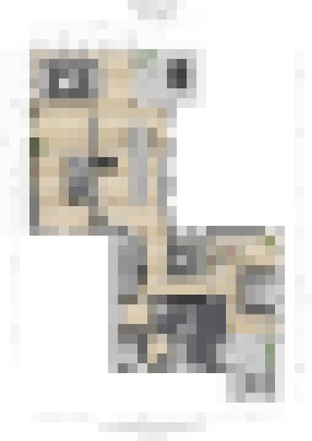 de Jongstraat 31 Vorden thumbnail 45