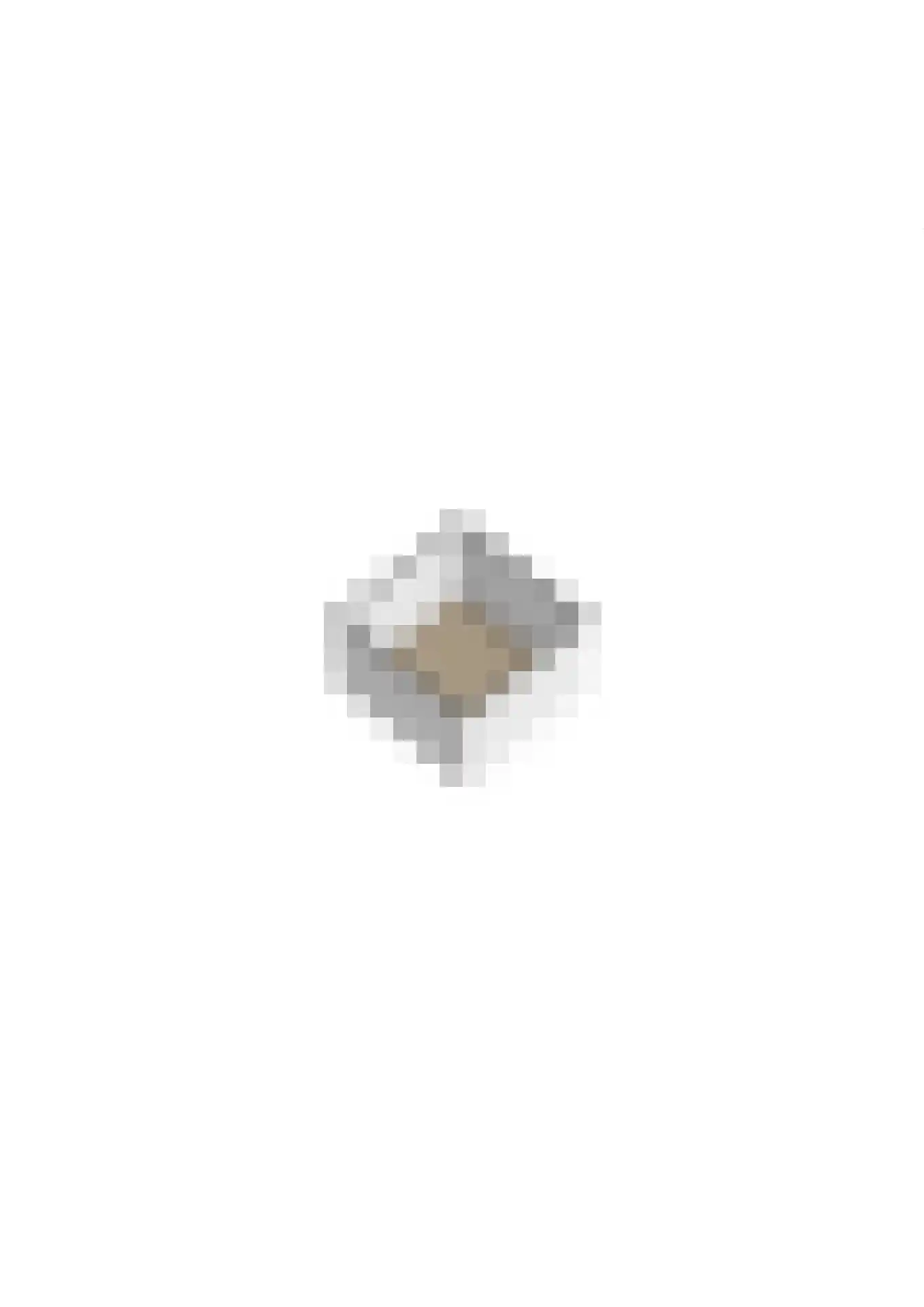 de Jongstraat 31 Vorden thumbnail 51