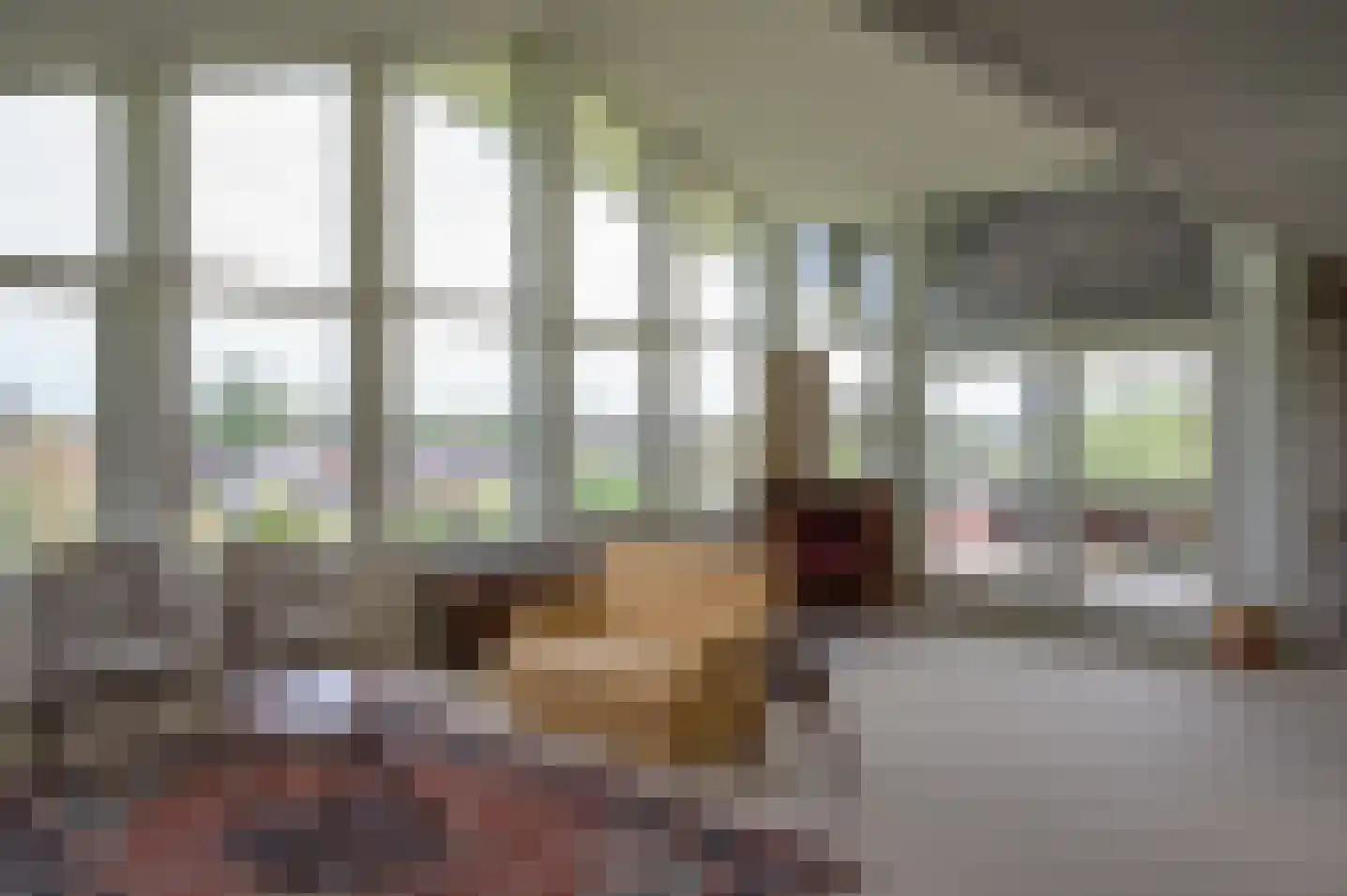 de Jongstraat 31 Vorden thumbnail 6