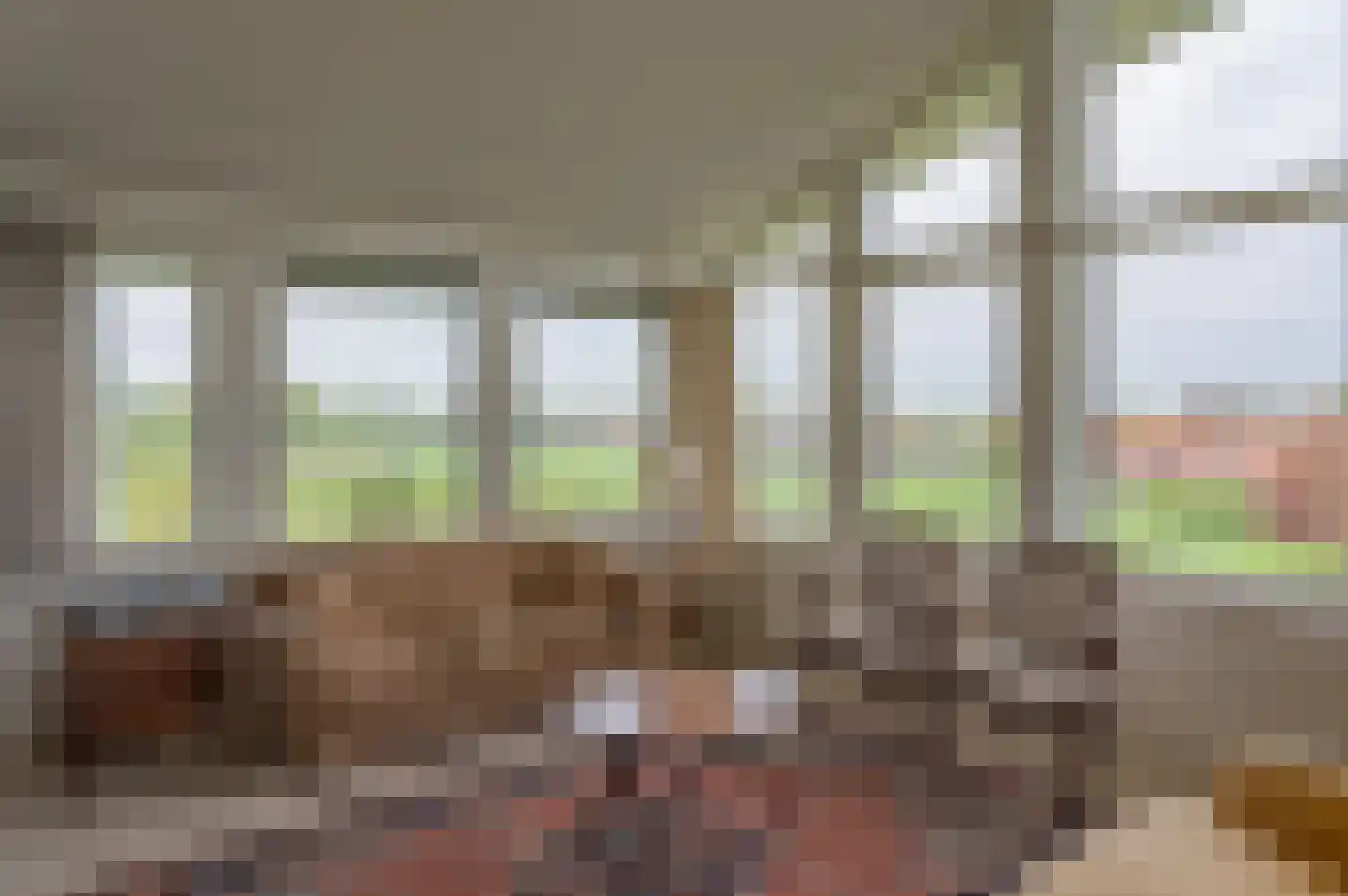 de Jongstraat 31 Vorden thumbnail 9