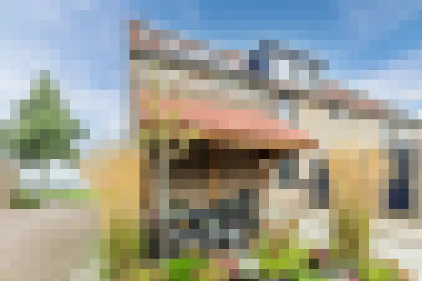 De Jongstraat 39 Linschoten thumbnail 10