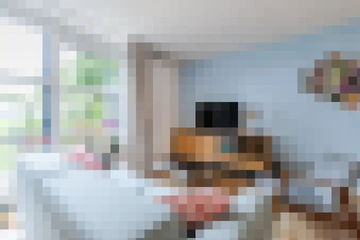 De Jongstraat 39 Linschoten thumbnail 17