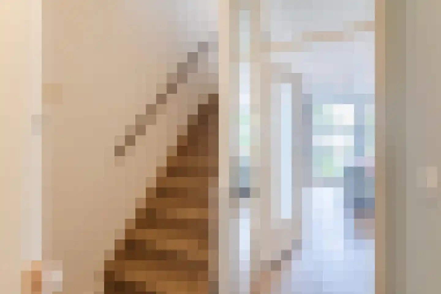 De Jongstraat 39 Linschoten thumbnail 29