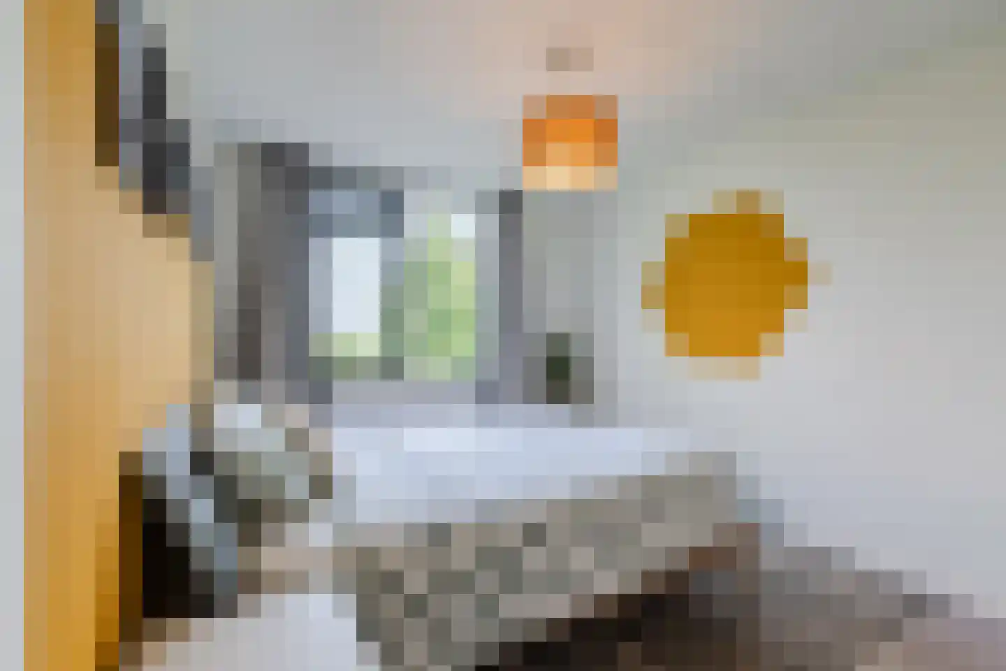 De Jongstraat 39 Linschoten thumbnail 30