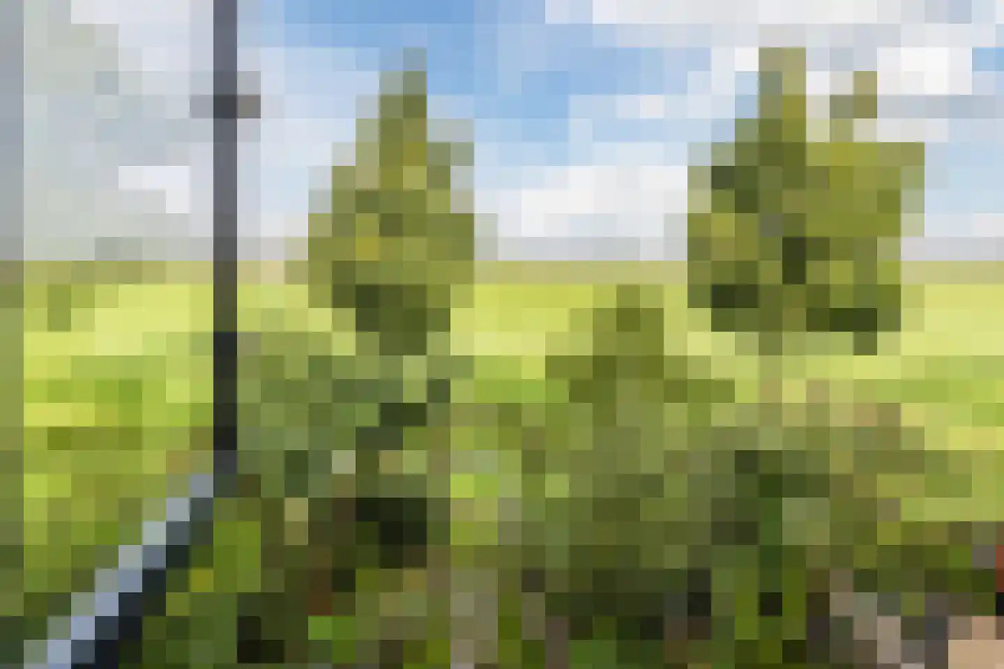 De Jongstraat 39 Linschoten thumbnail 4