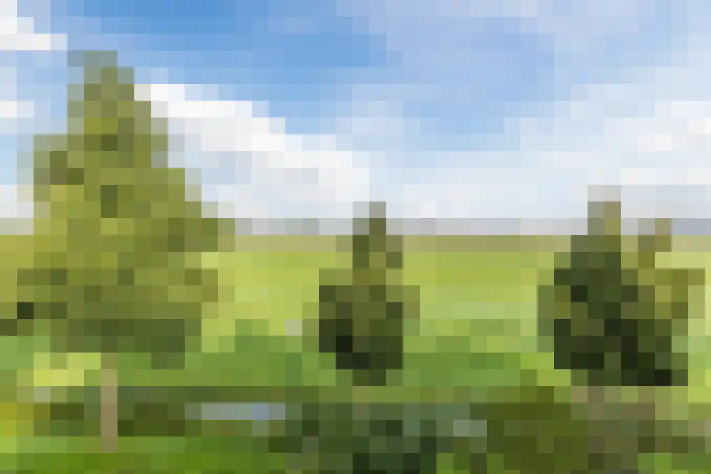 De Jongstraat 39 Linschoten thumbnail 53