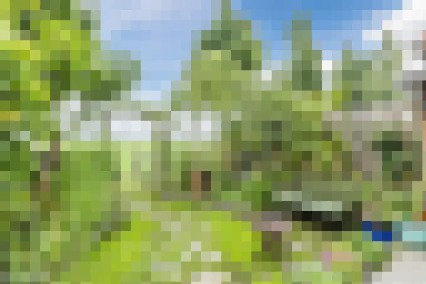 De Jongstraat 39 Linschoten thumbnail 55