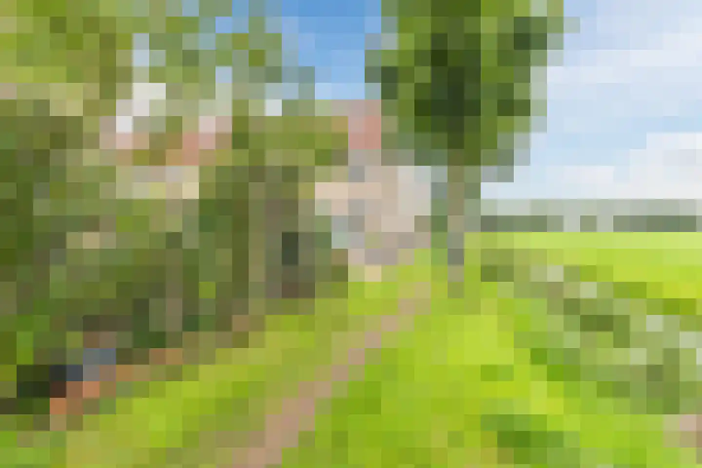 De Jongstraat 39 Linschoten thumbnail 61