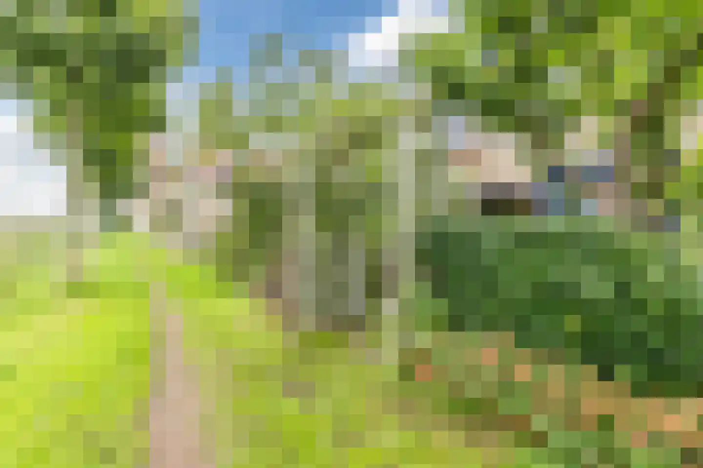 De Jongstraat 39 Linschoten thumbnail 62