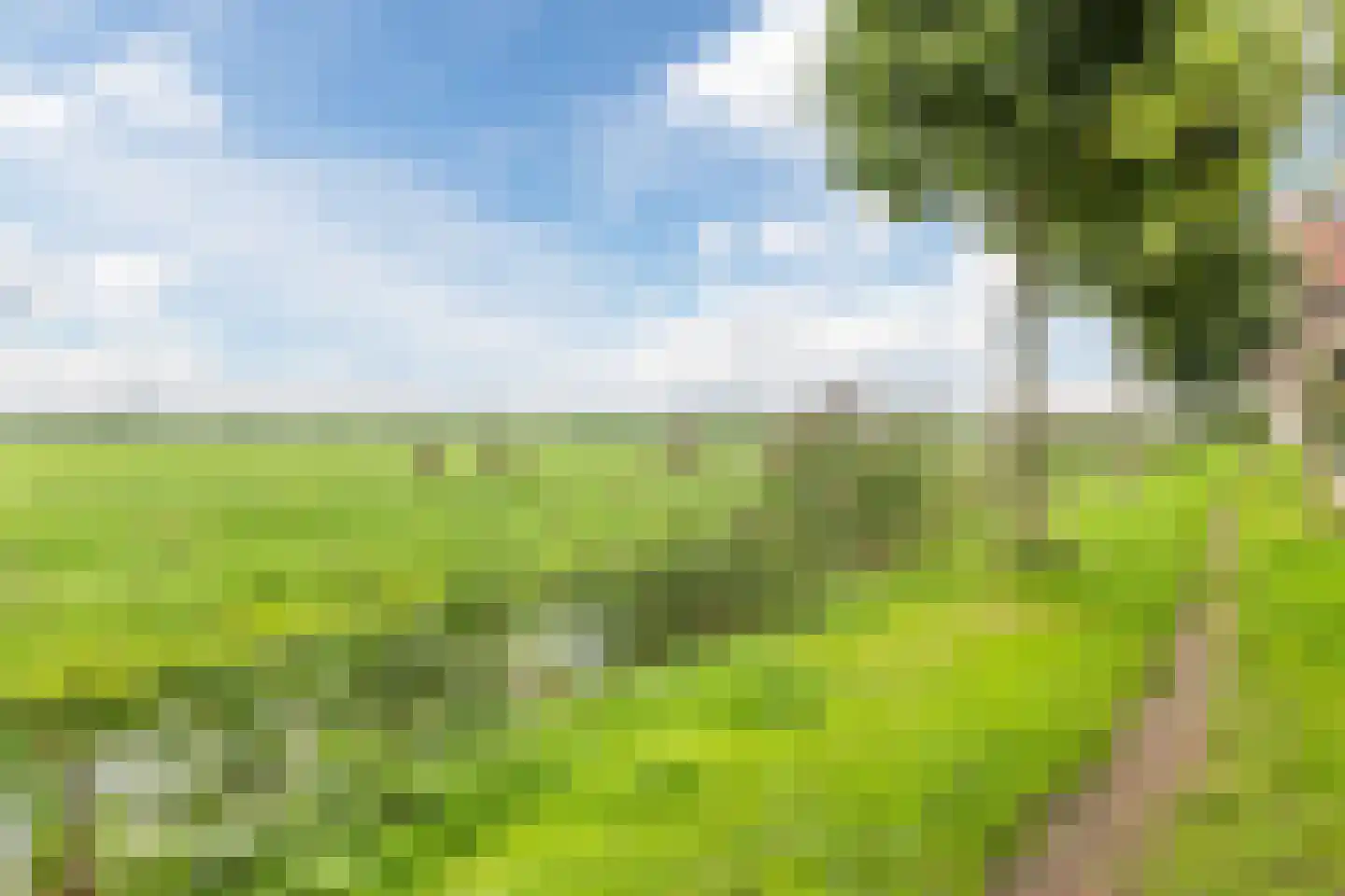 De Jongstraat 39 Linschoten thumbnail 64