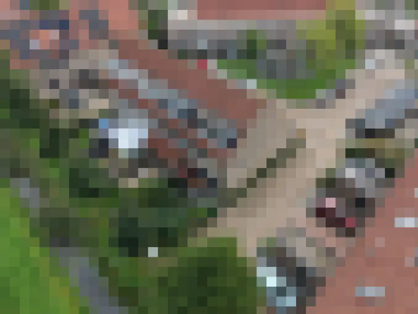 De Jongstraat 39 Linschoten thumbnail 70