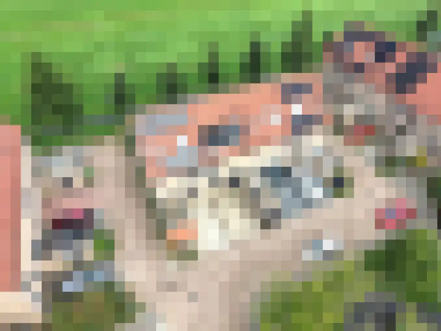 De Jongstraat 39 Linschoten thumbnail 8